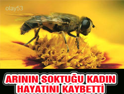 Rize'de Bal Arısı Can Aldı