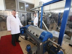Zeytinin Atık Maddesinden Zeytin Ezmesi Yaptı
