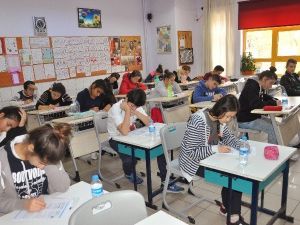 Uzmanlar. Teog’u Değerlendirdi: