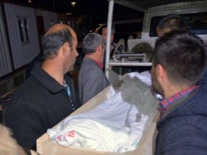 Oğluyla Birlikte 3. Kattan Düşen Baba Hayatını Kaybetti