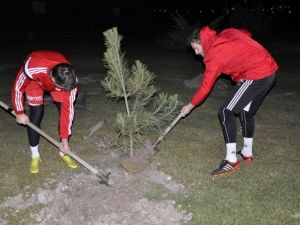 Medicana Sivasspor Organ Bağışı İçin Fidan Dikti