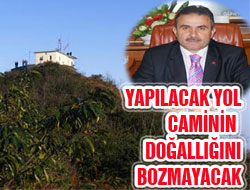 Yol, Doğallığı Bozmayacak