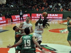 Spor Toto Basketbol Ligi
