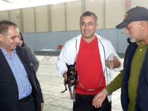 Adana’da Köpek Irkları Yarıştı