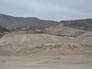 İş Adamından Çevre Duyarlılığı