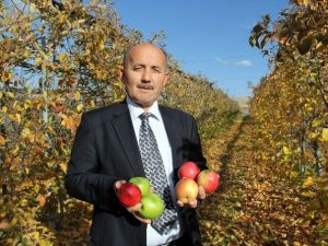 Sermayelerini Bankaya Değil Elmaya Yatırdılar