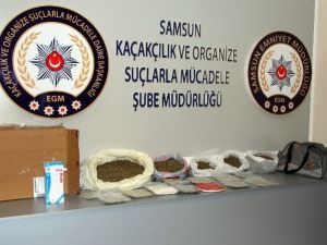 Samsun’da 5 Kilo 770 Gram Bonzai Ele Geçti
