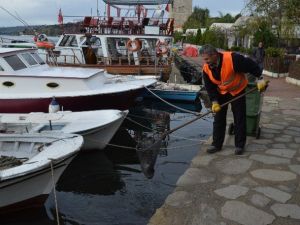 Sinop’ta Sahiller Temizleniyor