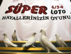 Süper Loto çıldırdı ve çıldırtıyor!  22 Milyon Tl. devir