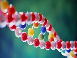 Bu genlere sahipsen pek şanslısın...