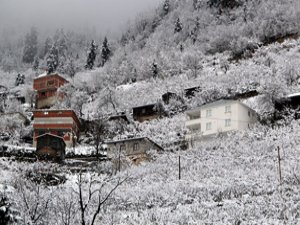 Rize'de 4 Ev Boşaltıldı