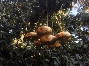 Modernize Kuş Evleri Tasarlandı