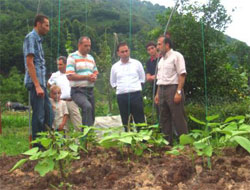 Rize'de Seracılığa Teşvik!