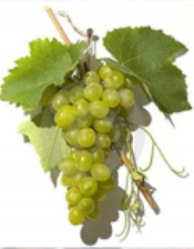 Yaşlanmayı engellemek ister misiniz?