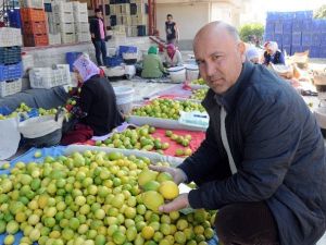 Krizin Teğet Geçtiği Limonun Fiyatı Yeniden Tırmanıyor