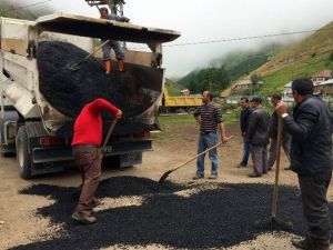 Gümüşhane İl Özel İdaresinden Tarihi Asfalt Rekoru