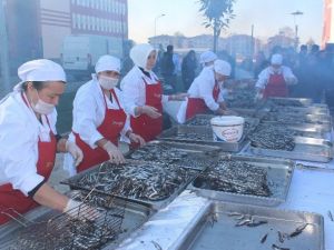 Odü’de Hamsi Şöleni