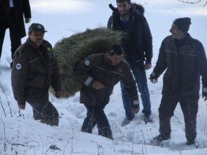 Yaban Hayata Yem Takviyesi