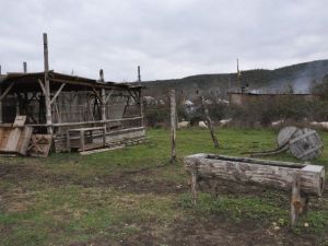 Diriliş Ertuğrul’un Efsane Karakteri Bamsı Geri Döndü