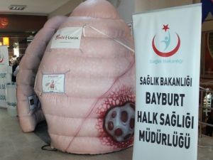 ’Koca Ciğer’ Bayburt’ta Sergilendi