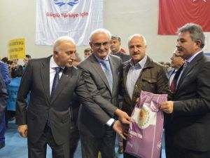 Bafra’da Yem Bitkisi Tohumu Dağımı