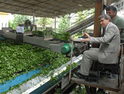 Çaykur'un Mucit Ustaları!