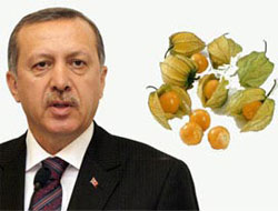 Erdoğan'ın formunun sırrı bu meyvede