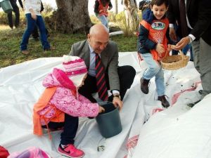 Bin Yıllık Ağaçlardan Sıkılan Zeytinyağları Müzayedede Satılacak