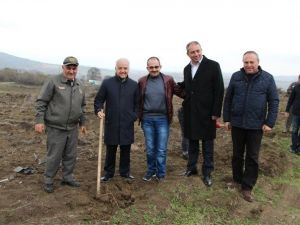 Ytso’dan Ağaçlandırmaya Destek