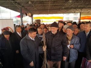 Karabük’te 23 Bin Meyve Fidan Dağıtıldı