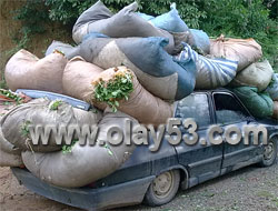 Rizeli Yapacağını Yaptı