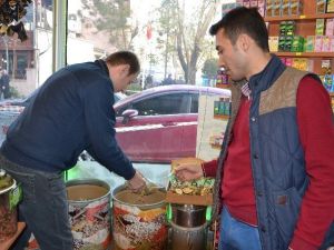 Kışın Bu Bitkilerle Zinde Kalabilirsiniz