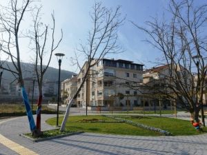 Üniversiteli Ressamlar Ağaçları Giydirdi