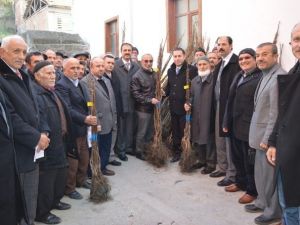 Niksar’da 4 Bin 530 Adet Ceviz Fidanı Dağıtıldı