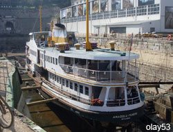 Dursun Kaptan Bakıma Alındı