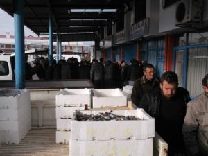 Karadeniz’de Hamsi Göçünü Tamamlamak Üzere