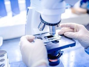 Mikroçip Yöntemi Tüp Bebekte Başarı Sağlıyor