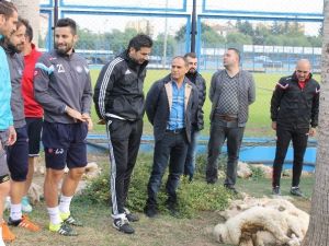 Osman Özköylü İçin Kurban Kesildi