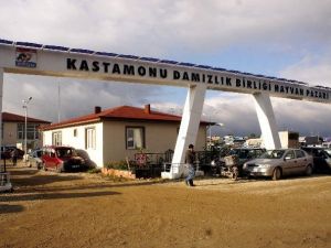 Kastamonu’da Hayvan Pazarları Kapatıldı