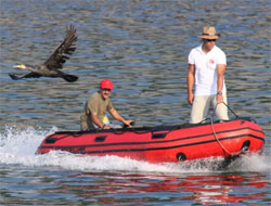 Dal'a 1.'lik Getiren Fotoğraf