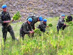 Jandarmadan hint keneviri baskını