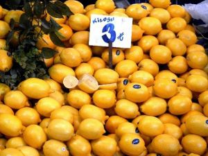 Limonda Don Tehlikesi Esnafı Tedirgin Ediyor