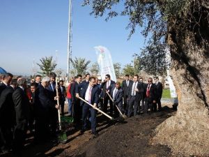 Bakan Faruk Çelik, Expo 2016 Alanına Ağaç Dikti