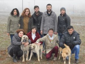 Kastamonu’da Üniversiteli Öğrencilerden Örnek Davranış