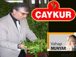 İşte Çaykur İstatistikleri