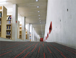 Astımlılar rahat nefes alacak