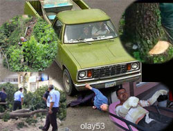 Rize'de Meydana Gelen Kazalar