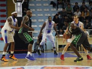 Spor Toto Basketbol Ligi
