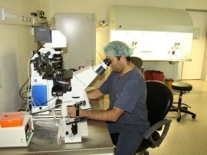 Tüp Bebek İçin Omü’de ‘Icsı’ Ve ‘Imsı’ Yöntemi Uygulanıyor