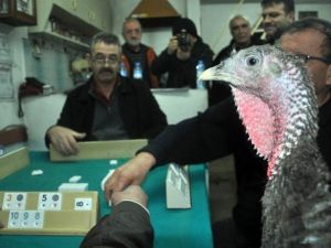 Zonguldak’ta Hindili Okey Turnuvası